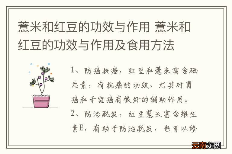 薏米和红豆的功效与作用 薏米和红豆的功效与作用及食用方法