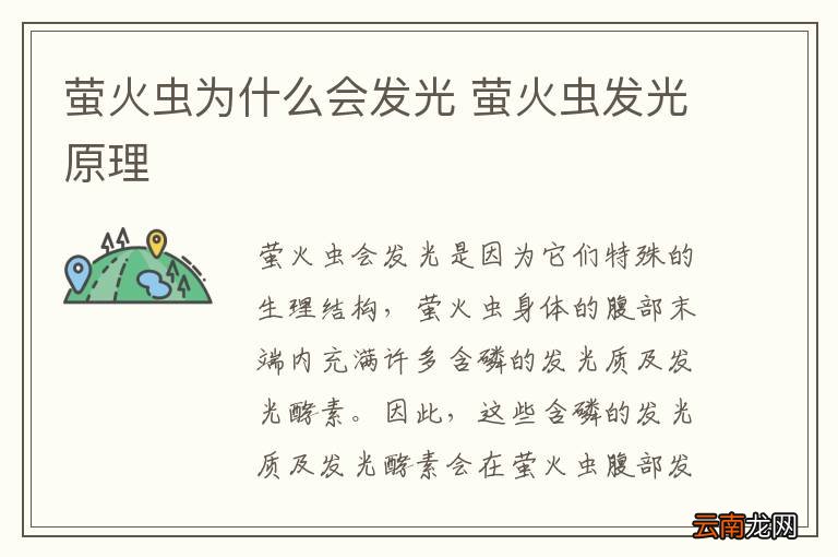 萤火虫为什么会发光 萤火虫发光原理