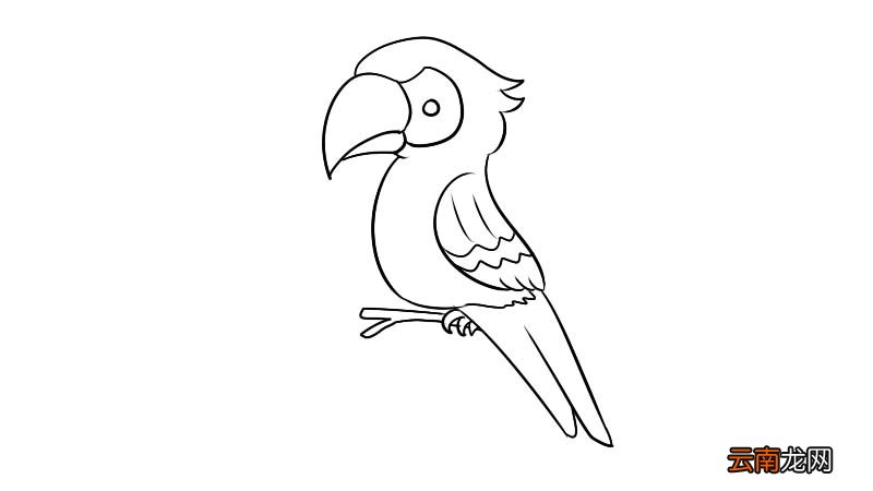 大嘴鸟简笔画