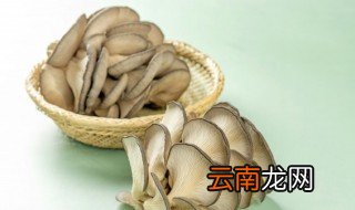 平菇煮几分钟熟 平菇一般煮几分钟熟