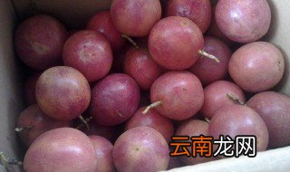 蛋黄果怎么存放 蛋黄果存放方法
