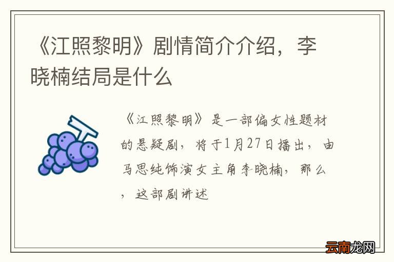 《江照黎明》剧情简介介绍，李晓楠结局是什么
