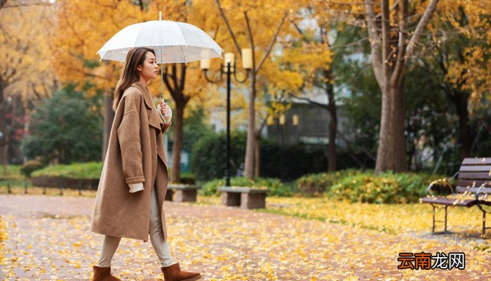 38是女神节还是妇女节 38妇女节是什么意思
