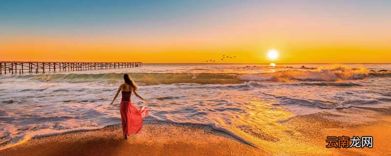 爱与不爱皆自由的下一句 爱与不爱皆自由下一句怎么接