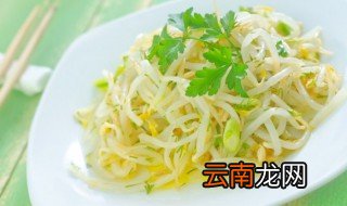 水煮绿豆芽多久可以煮熟 绿豆芽煮几分钟可以熟