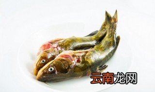 黄骨头鱼煮几分钟熟 黄骨鱼煮几分钟能熟