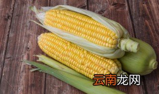 玉米碜煮多久能熟 玉米碜煮几分钟能熟