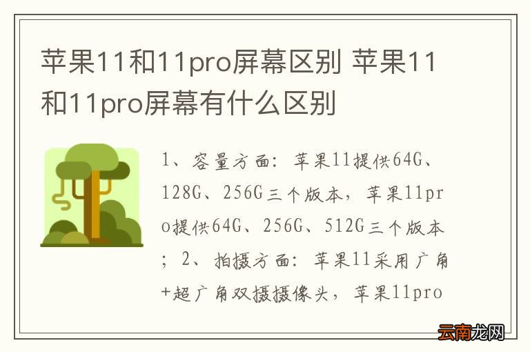苹果11和11pro屏幕区别 苹果11和11pro屏幕有什么区别