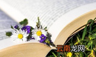 中国的国潮是什么意思 中国的国潮解释