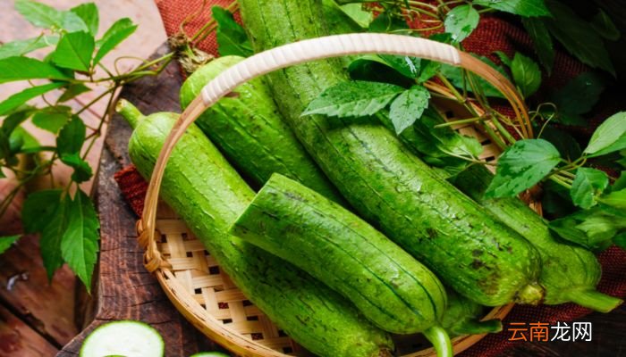 碳水化合物食物一览表碳水化合物食物有哪些