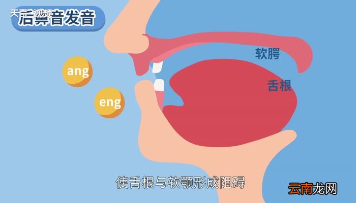 前鼻音和后鼻音有哪些 怎么区分前鼻音和后鼻音