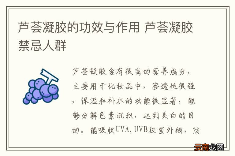 芦荟凝胶的功效与作用 芦荟凝胶禁忌人群