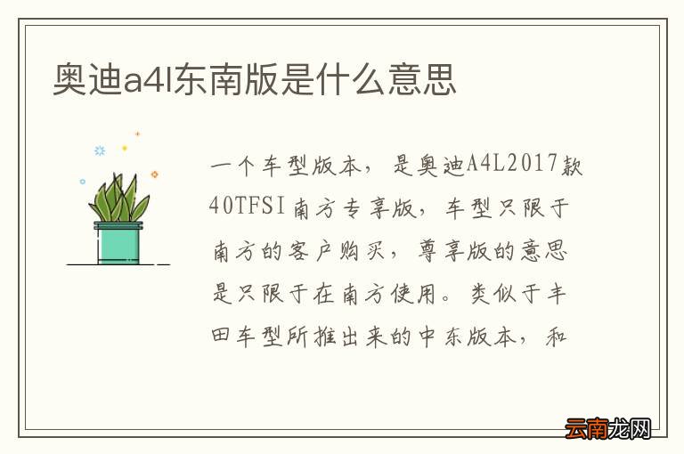 奥迪a4l东南版是什么意思