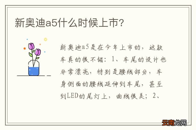 新奥迪a5什么时候上市?