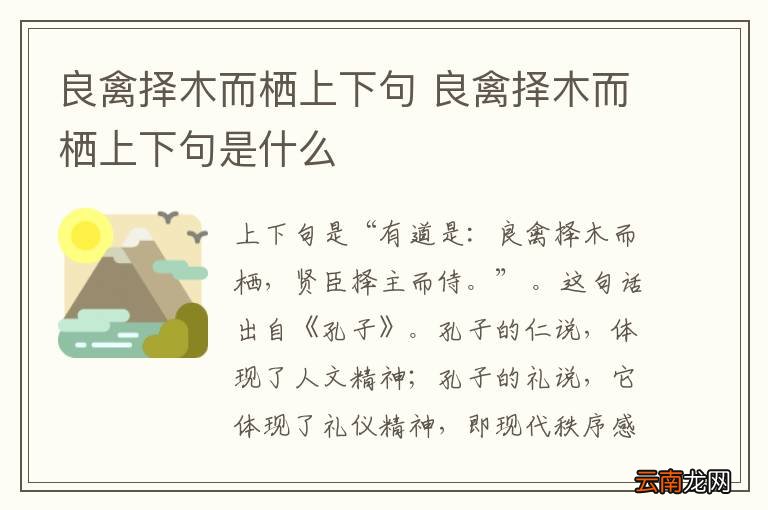 良禽择木而栖上下句 良禽择木而栖上下句是什么