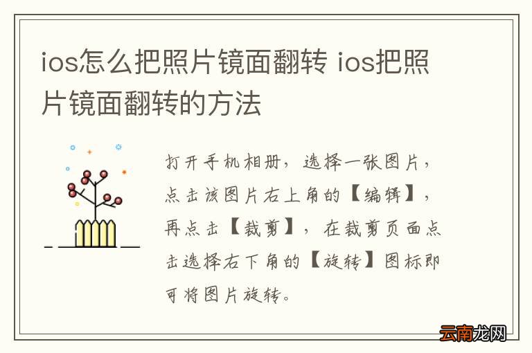 ios怎么把照片镜面翻转 ios把照片镜面翻转的方法
