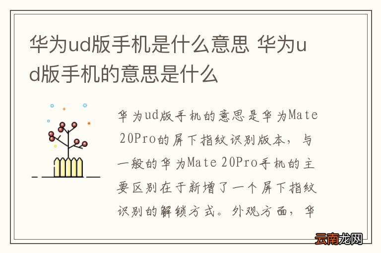 华为ud版手机是什么意思 华为ud版手机的意思是什么