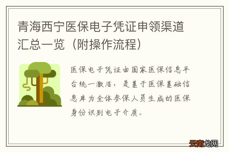 附操作流程 青海西宁医保电子凭证申领渠道汇总一览