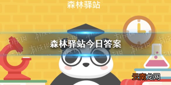 竹鼠不喜欢怎样的环境 森林驿站今日答案10月27日