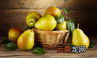 梨子籽怎么种 梨子籽的种植