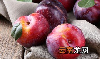 加应子是什么水果 加应子是什么
