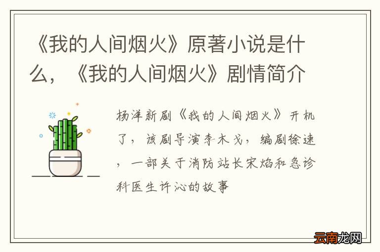 《我的人间烟火》原著小说是什么，《我的人间烟火》剧情简介