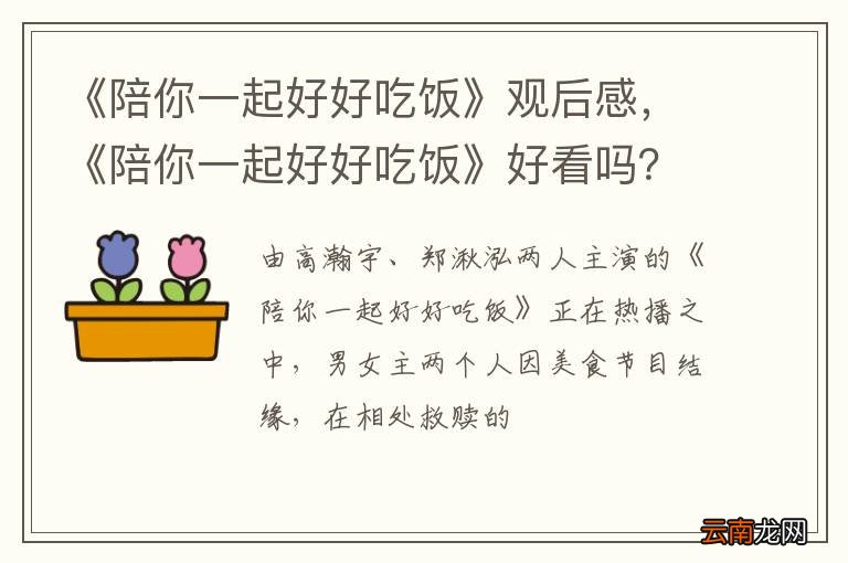 《陪你一起好好吃饭》观后感，《陪你一起好好吃饭》好看吗？