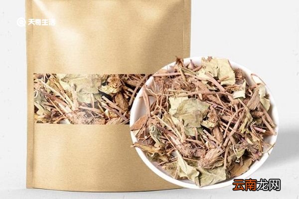 兔耳风的功效与作用 兔耳风主要有什么功效