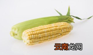 用锅煮玉米要多长时间 用锅煮玉米要多久