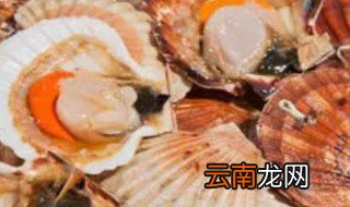 红贝煮多长时间,红贝煮多长时间开口