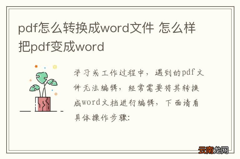 pdf怎么转换成word文件 怎么样把pdf变成word