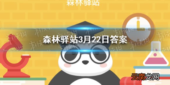 云豹的斑纹是什么样子的 森林驿站3月22日答案
