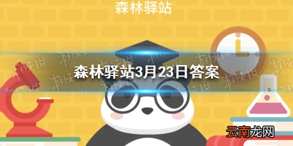 奔跑最快的哺乳动物是 森林驿站3月23日答案