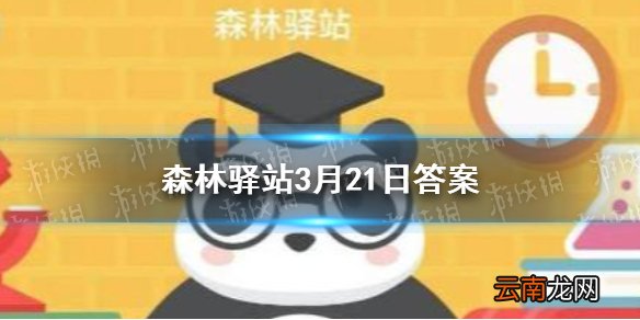 亚洲黑熊的怀孕时长为几个月 森林驿站3月21日答案