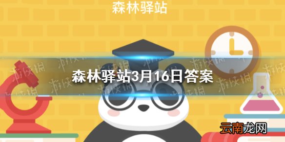 下列关于朱鹮的说法错误的是 森林驿站3月16日答案