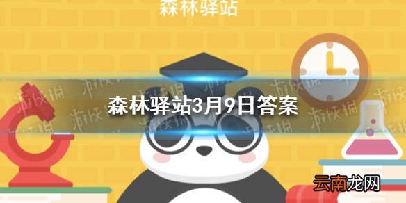 大熊猫吃的最多的食物是什么 森林驿站3月9日答案