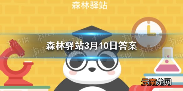 以下哪个不是大熊猫的皮毛颜色 森林驿站3月10日答案