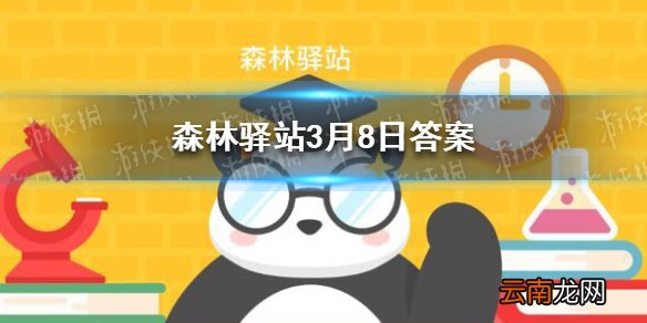 狗不能看到哪种颜色 森林驿站3月8日答案