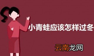 小青蛙应该怎样过冬 小青蛙的栖息环境介绍