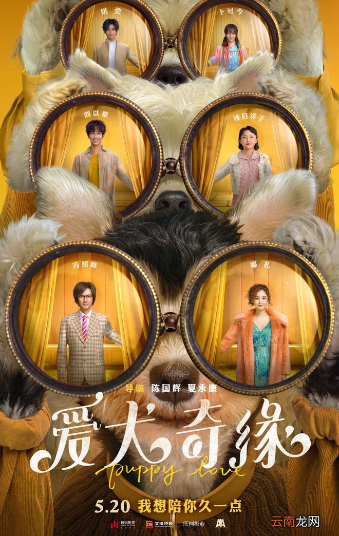 电影《爱犬奇缘》定档5月20日 冯绍峰娜扎辣目洋子演绎夏日爱情喜剧