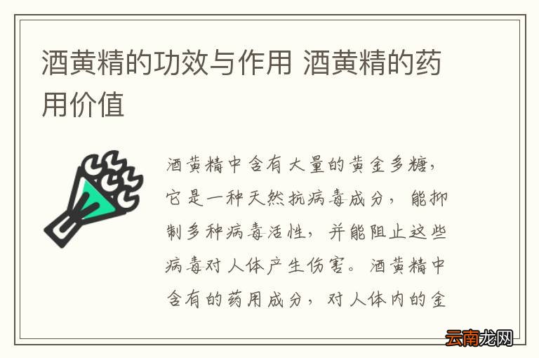 酒黄精的功效与作用 酒黄精的药用价值