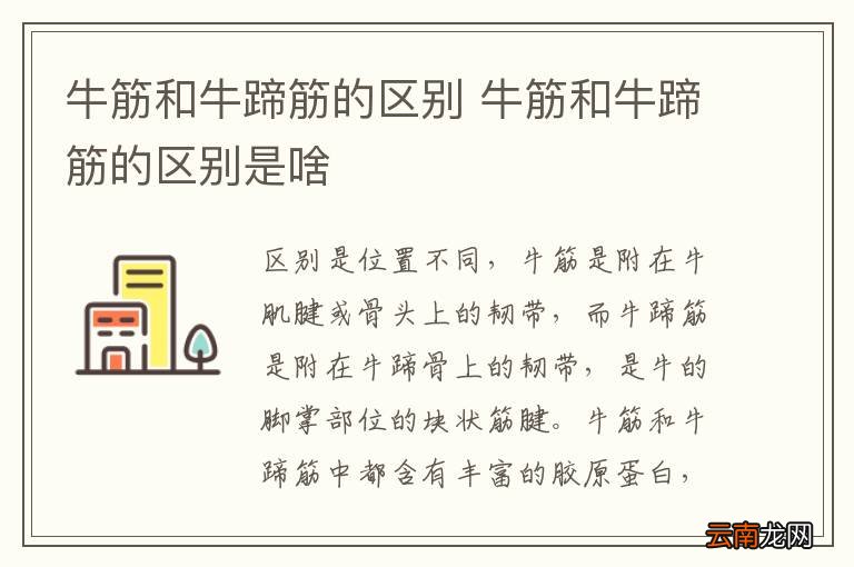 牛筋和牛蹄筋的区别 牛筋和牛蹄筋的区别是啥
