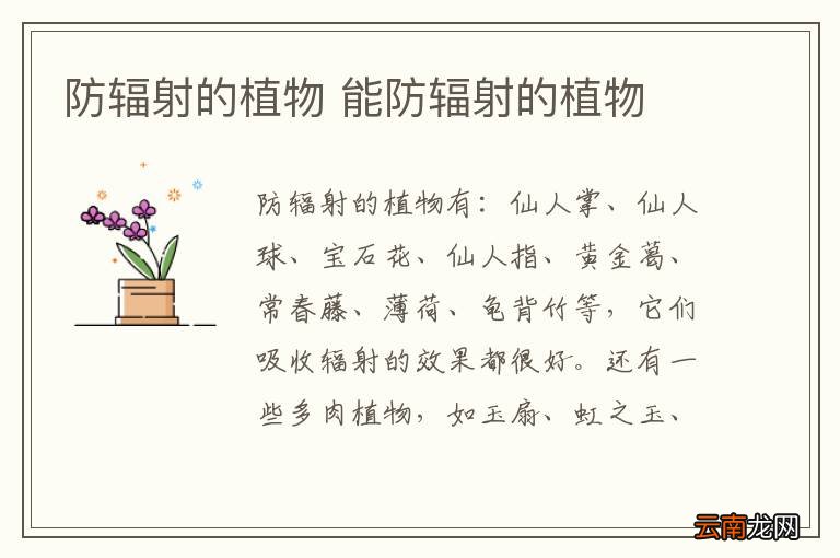 防辐射的植物 能防辐射的植物