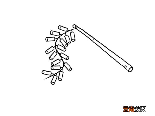 鞭炮怎么画