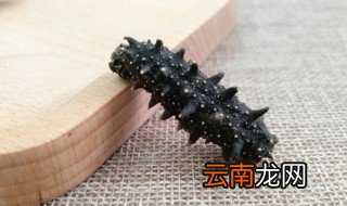 海参用高压锅煮多长时间 高压煮海参时间做好需要多长时间