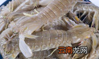 虾爬子要煮多长时间 虾爬子要煮多长时间才能熟