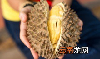 榴莲煲鸡汤的配料 广东榴莲煲鸡汤的做法