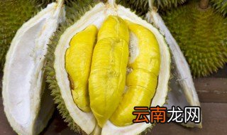 榴莲煲鸡汤下奶的吗 榴莲囊煲汤下奶吗