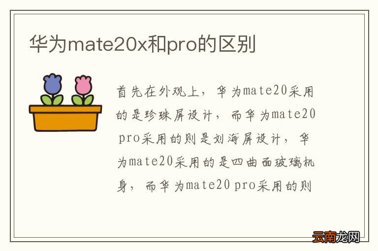 华为mate20x和pro的区别