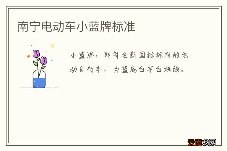 南宁电动车小蓝牌标准